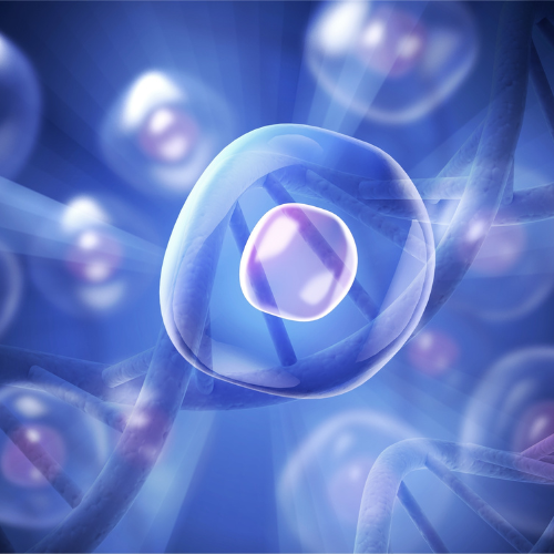 Concept art of stem cells in Miami.