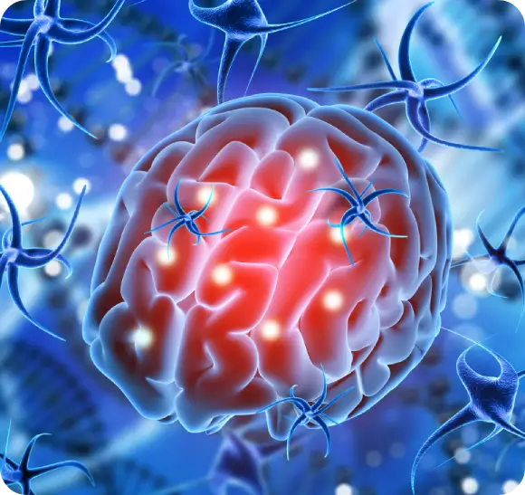 Brain biology and neural signaling involved in autism and learning readiness